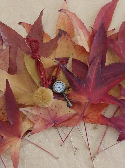 Foliage last minute: quando incontri le foglie più belle, quasi sotto le scarpe, poco prima di calpestarle